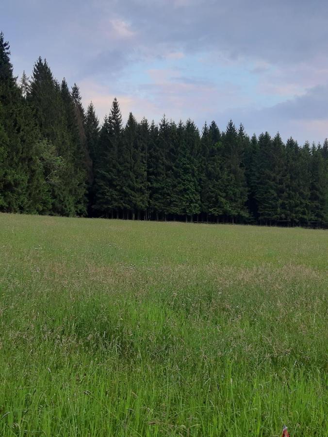 Ferienwohnung "Voelkl" Tannesberg Bagian luar foto
